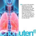 Chonluten 60 - Apparato respiratorio e apparato digerente