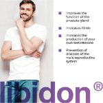 Libidon lingual - ghiandola prostatica